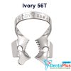 Ivory Clamp (Kulzer) - 56t-regular-molar-tiger