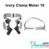 Ivory Clamp (Kulzer) - 10-regular-molar
