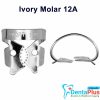 Ivory Clamp (Kulzer) - 12a-regular-molar