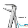 Forceps Light-Touch ENG - lower-roots-74n-each
