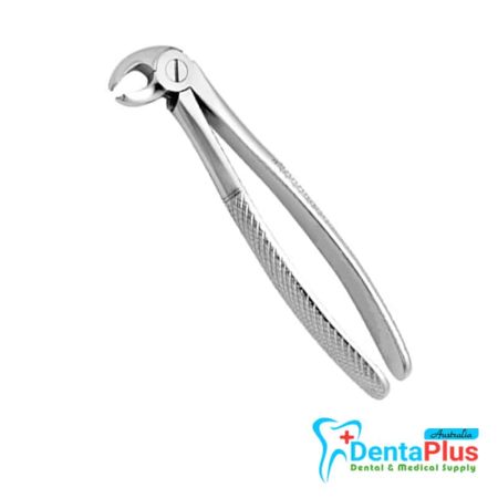 Lower Molars Children - Each