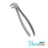 1/4 Lower Molar Extraction Forcep- Each