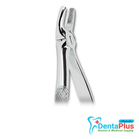 Upper Premolars - Each
