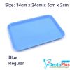 Instruments Flat Plastic Tray  – Regular #Each - blue