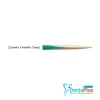 Interdental Wooden Wedges Septo Wedges #100 pcs/box - #2 (Green)